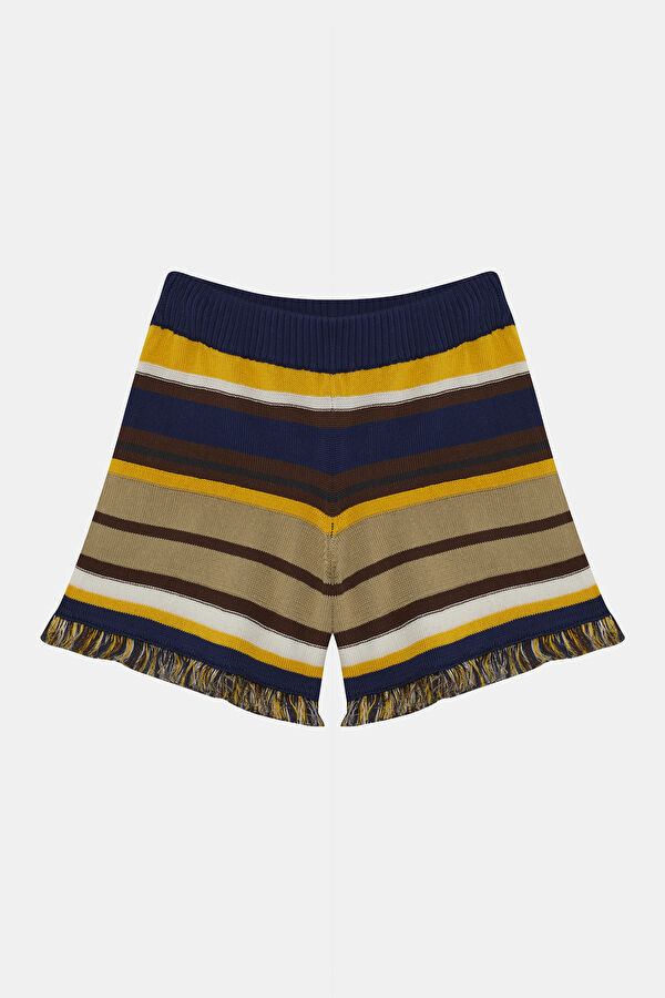 Colorful Striped Pattern Women's Shorts 4