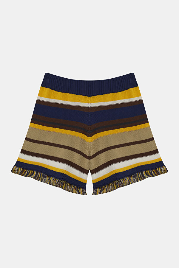 Colorful Striped Pattern Women's Shorts 5