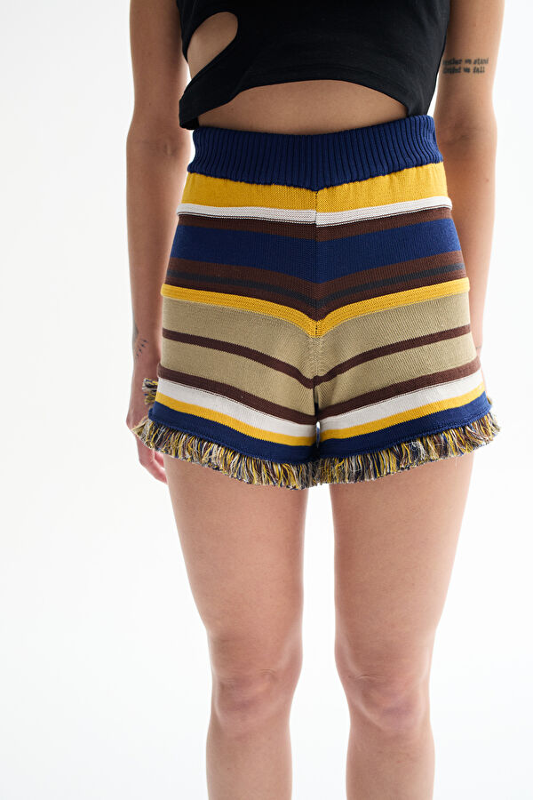 Colorful Striped Pattern Women's Shorts 2
