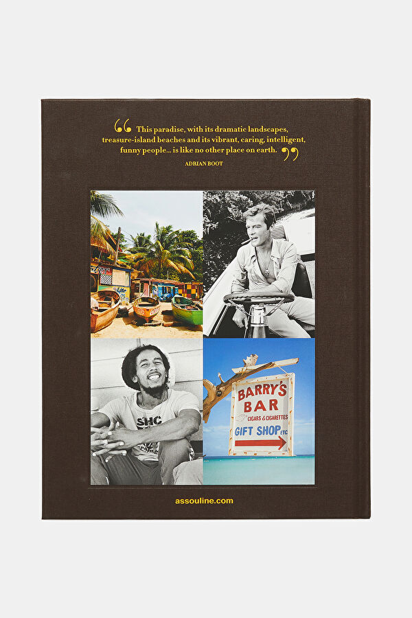 Jamaica Vibes 3