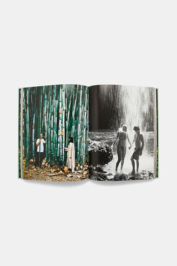 Multicolor Book 4