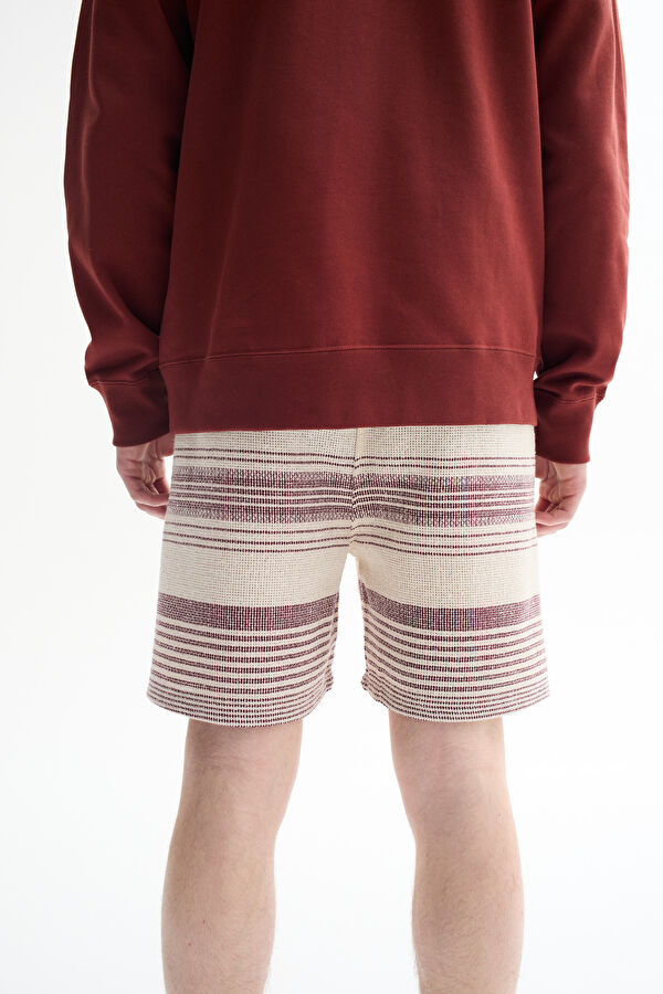 Colorful Striped Pattern Men's Shorts 3
