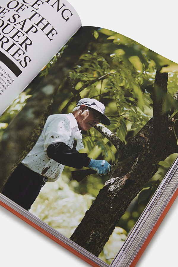 The New Traditional: Heritage, Craftmans 7