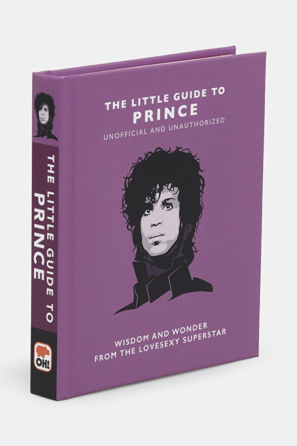 The Little Guide To Prince 2