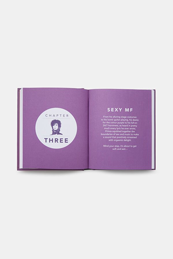 The Little Guide To Prince 6