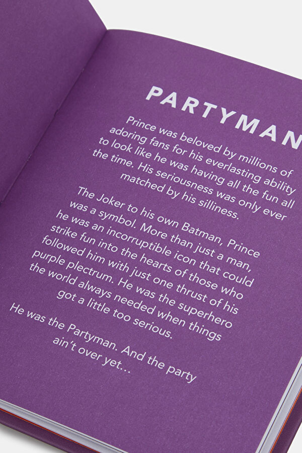 The Little Guide To Prince 8