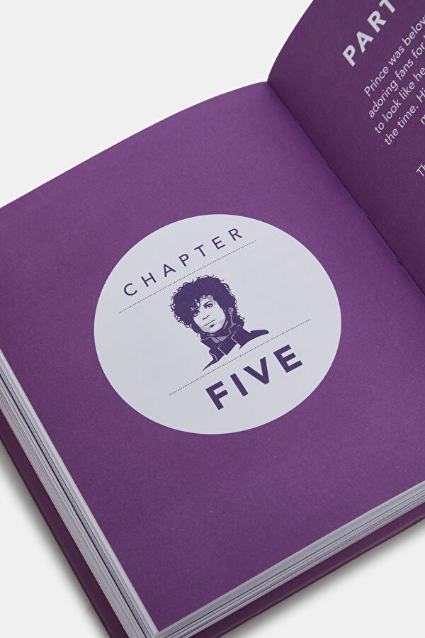 The Little Guide To Prince 9