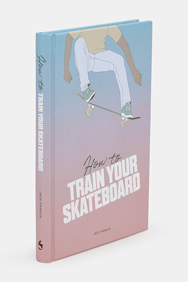 How To Train Your Skateboard 2