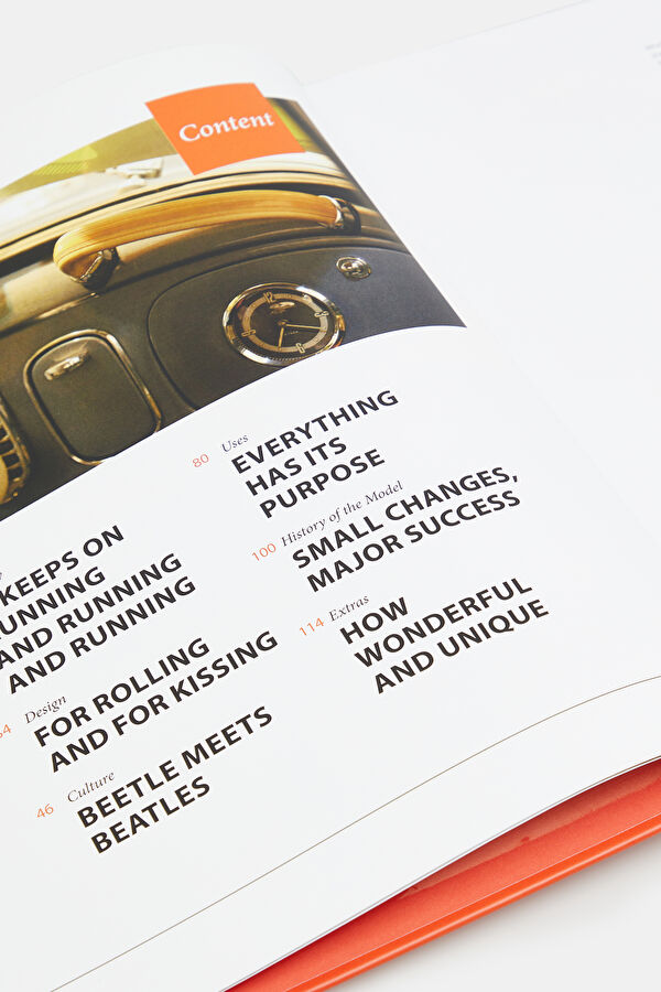 Volkswagen Beetle iconicars 5