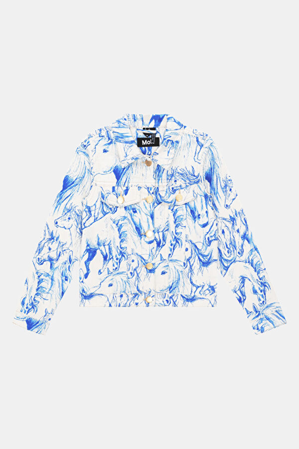 Blue Buttoned Jacket 2