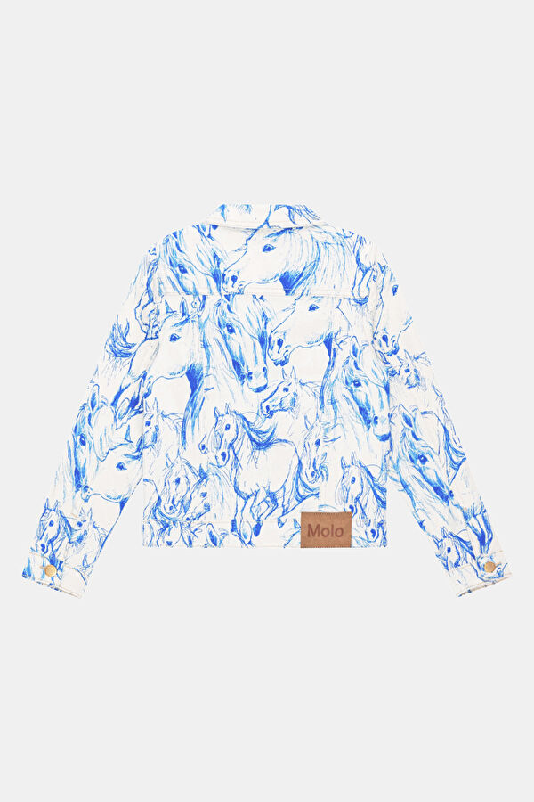 Blue Buttoned Jacket 3
