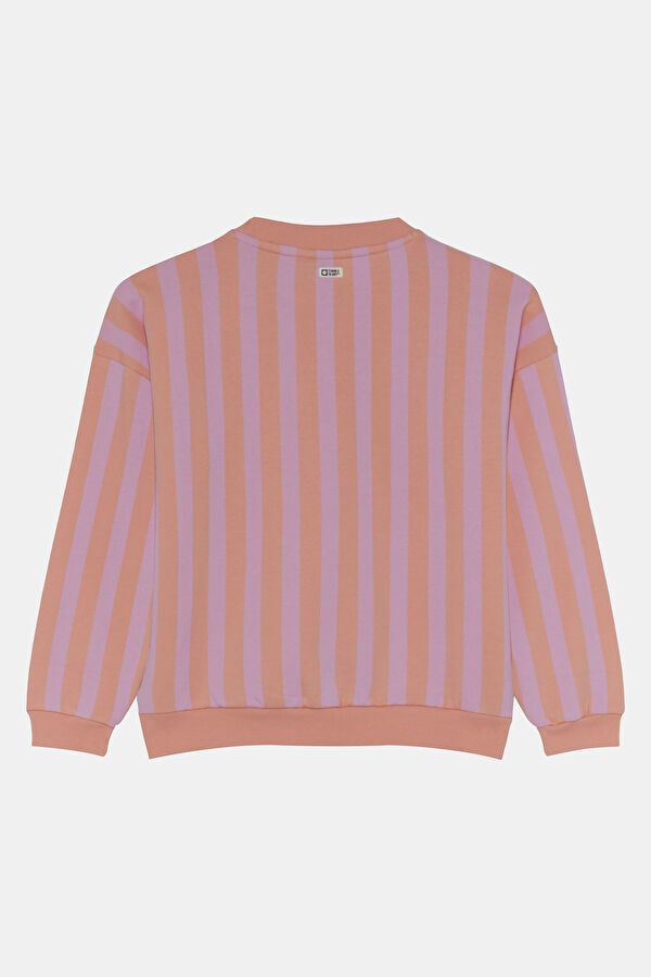 Pink Crew Neck Kids Sweatshirt 2