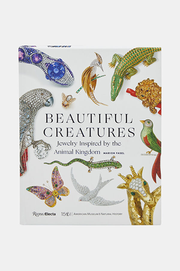 Beautiful Creatures