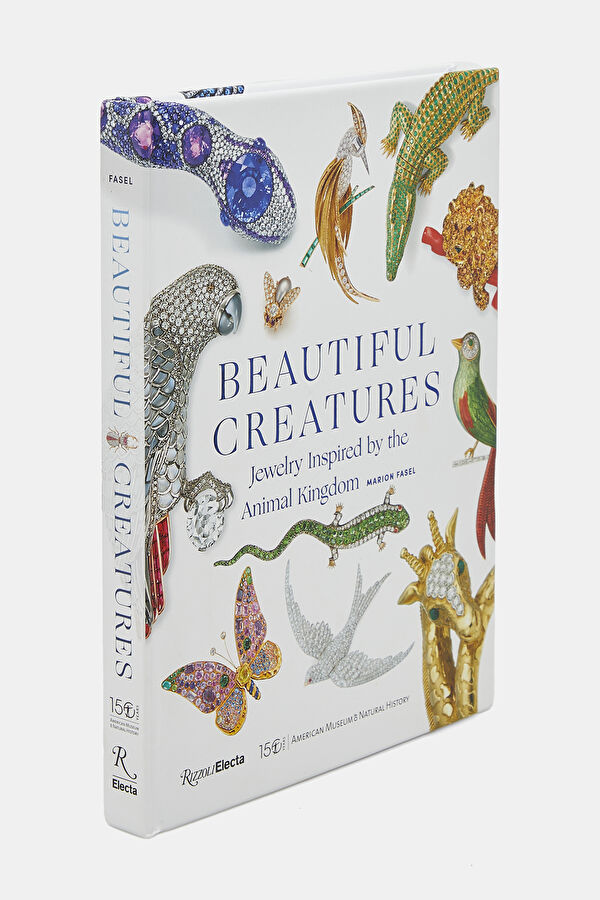 Beautiful Creatures 2