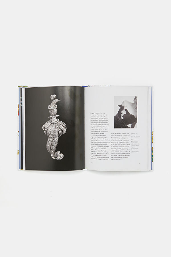 Beautiful Creatures 5