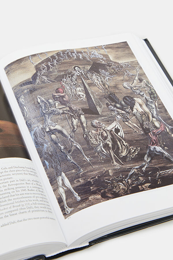 Dali : The Paintings 6