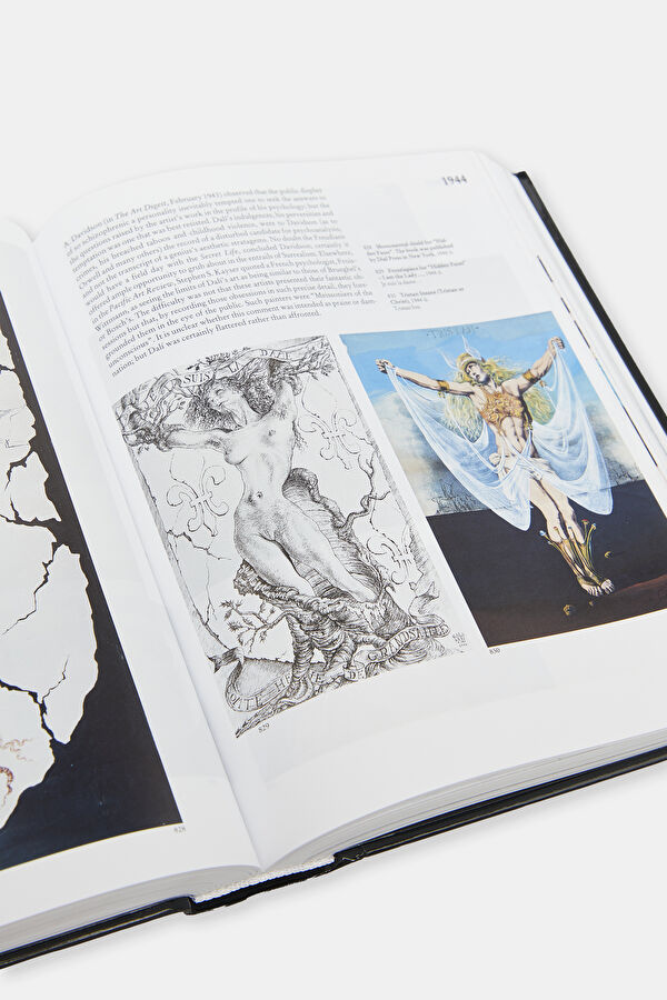 Dali : The Paintings 10