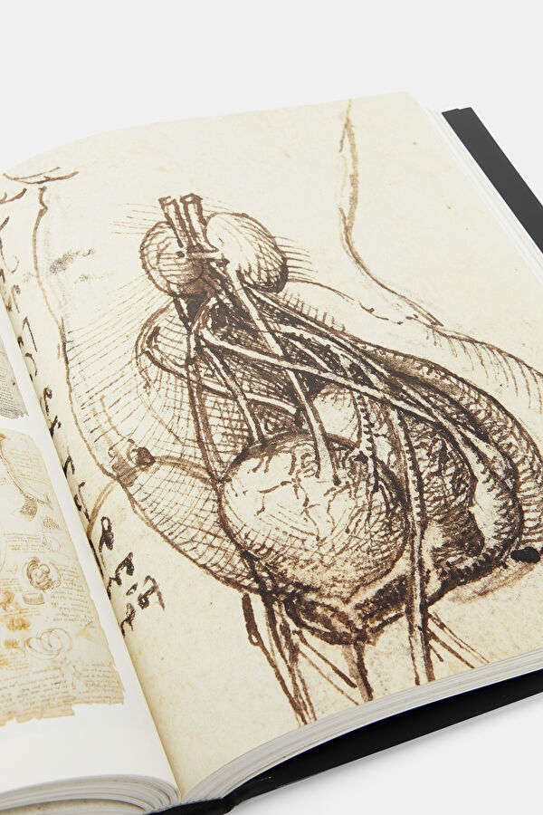 Leonardo : The Complete Paintings And Drawings 9