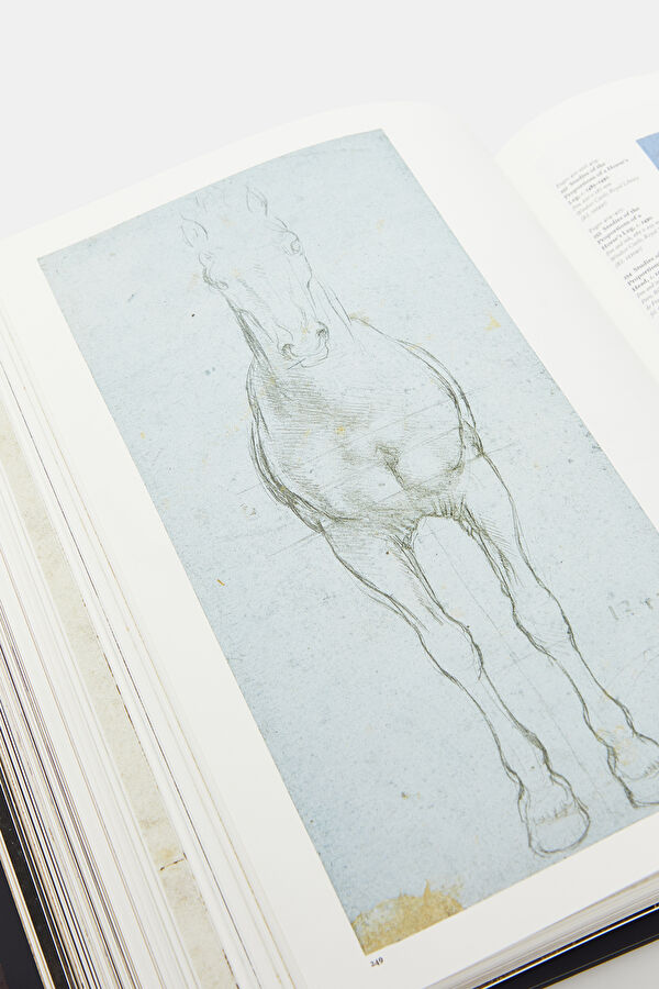 Leonardo : The Complete Paintings And Drawings 10