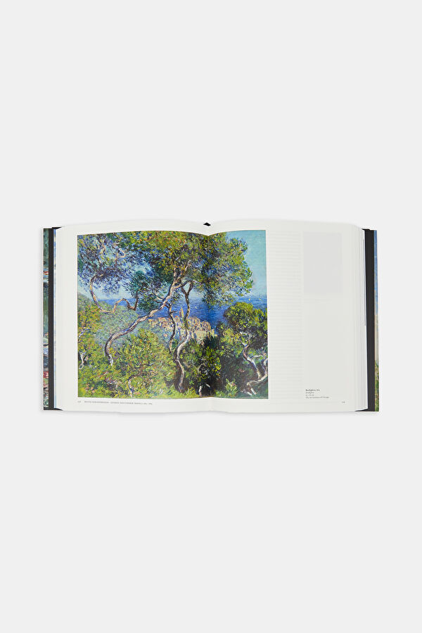 Monet: The Triumph Of Impressionism 5