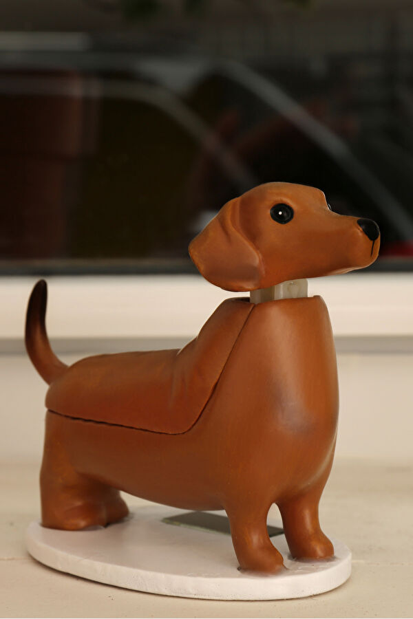 Güneş Dachshund - Boudewijn