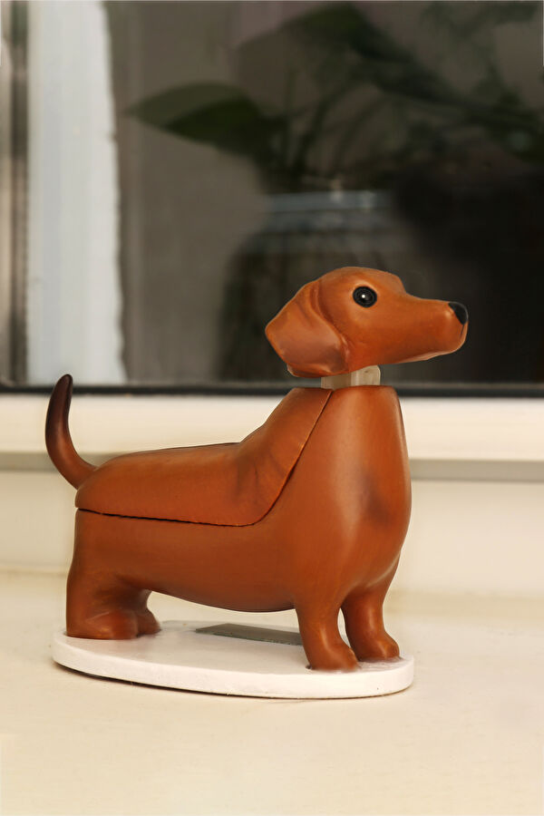 Güneş Dachshund - Boudewijn 3
