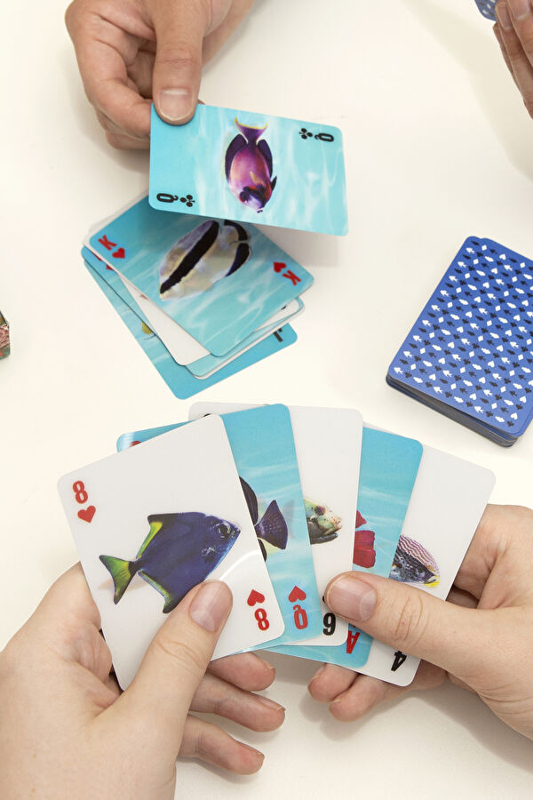 Balık 3d Kartlar 2