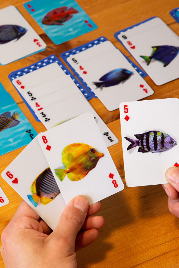 Balık 3d Kartlar 4