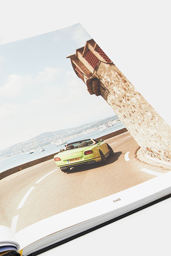 Luxury, Multicolor, STD 8