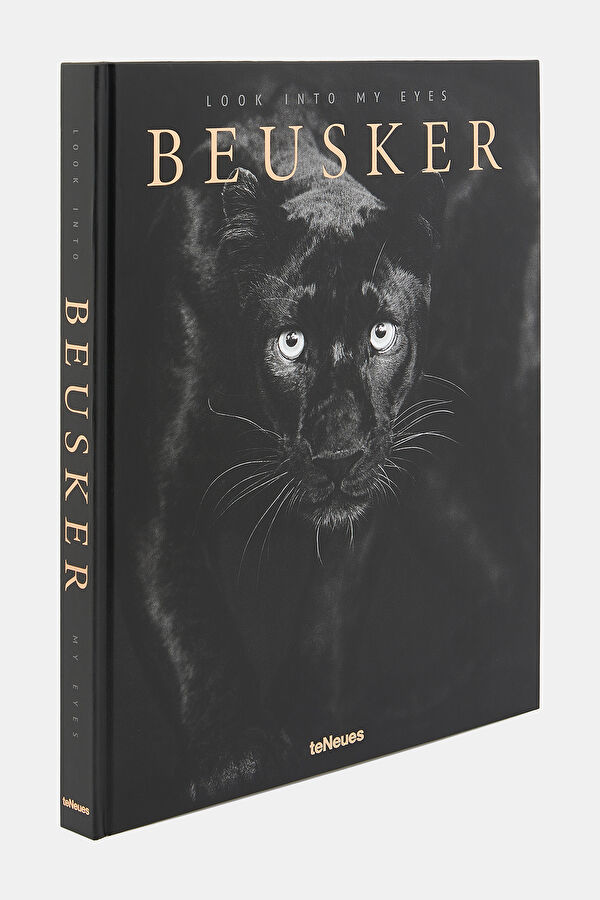 Beusker 2