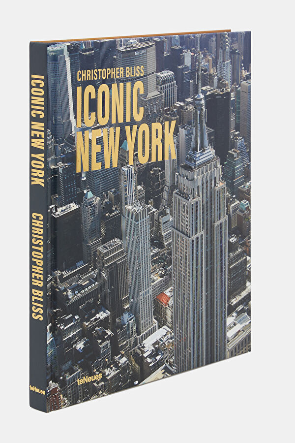 Iconic New York 2