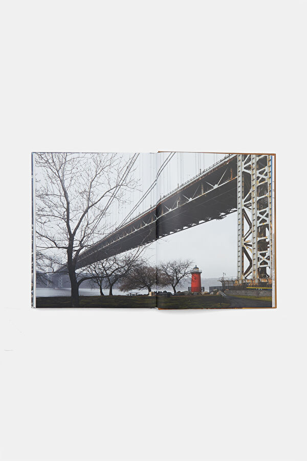 Iconic New York 5