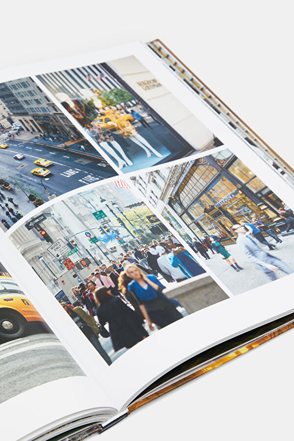 Iconic New York 11
