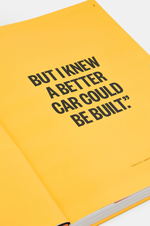 The Lamborghini Book 8