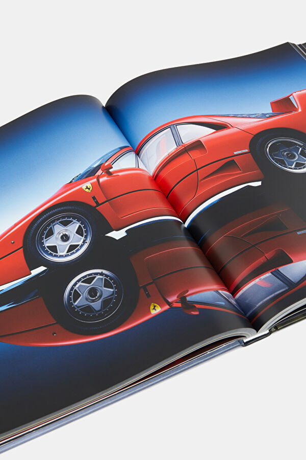 The Classic Cars Book 13