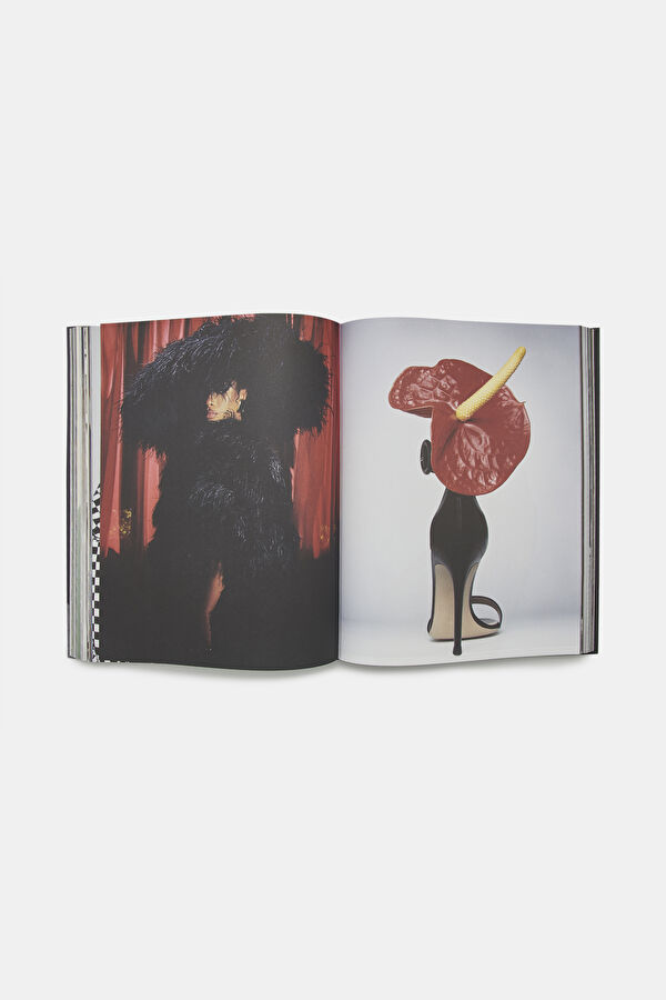 Carine Roitfeld Fantasies 6
