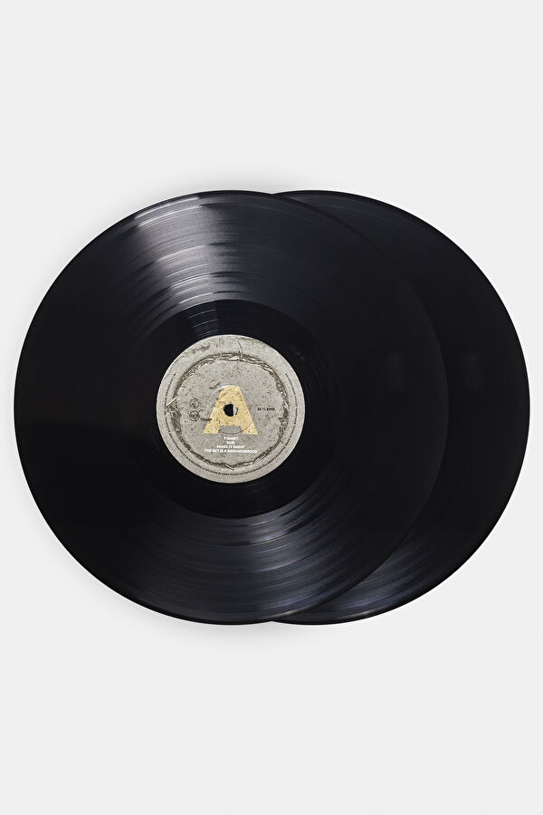 Foo Fighters Concrete And Gold 3