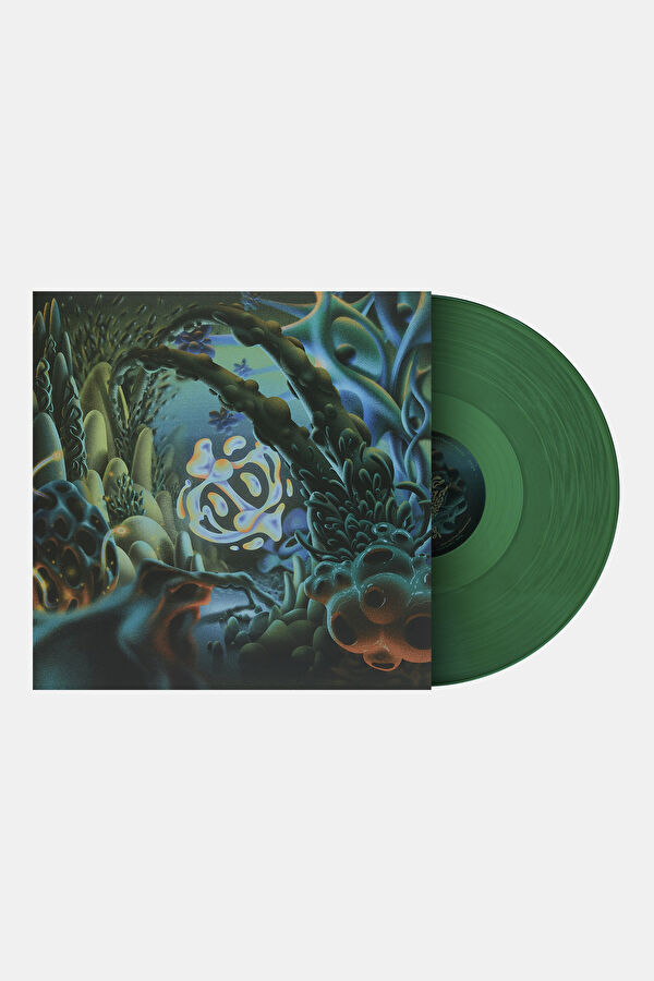 Ozoyo Cosmic Planta 2