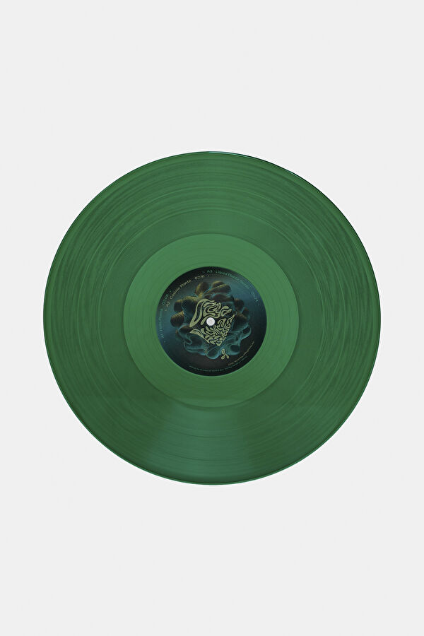 Ozoyo Cosmic Planta 3