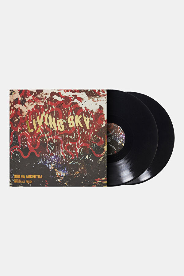 The Sun Ra Arkestra Directed By Ma 2
