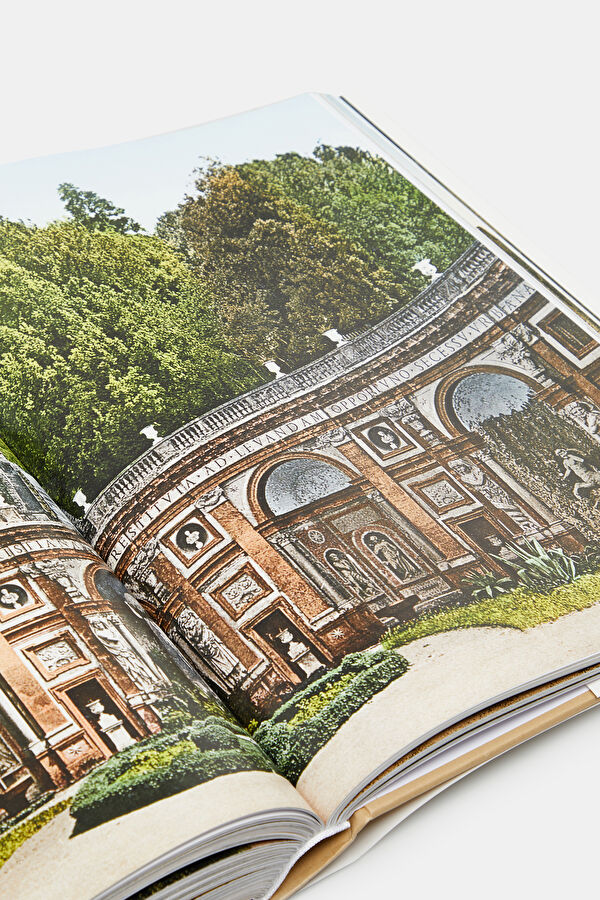 Multicolor Book 11