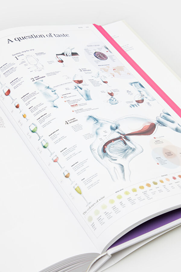 Food & Drink Infographics. A Visual Guid 11