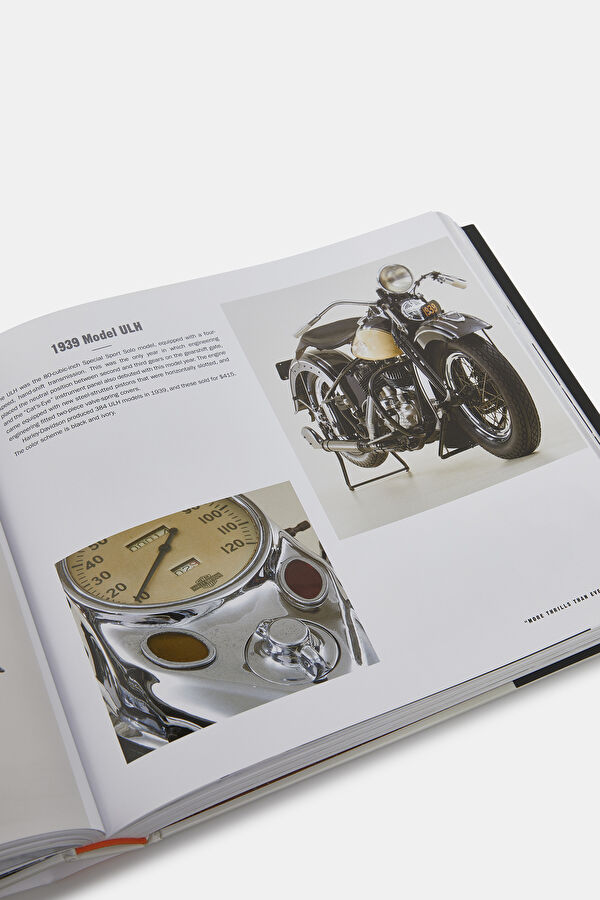 Multicolor Book 7