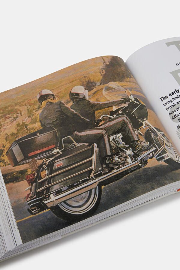 Multicolor Book 11