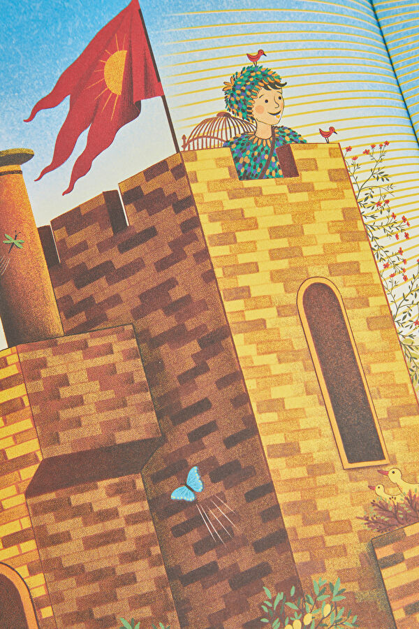 The Story Orchestra: The Magic Flute 7