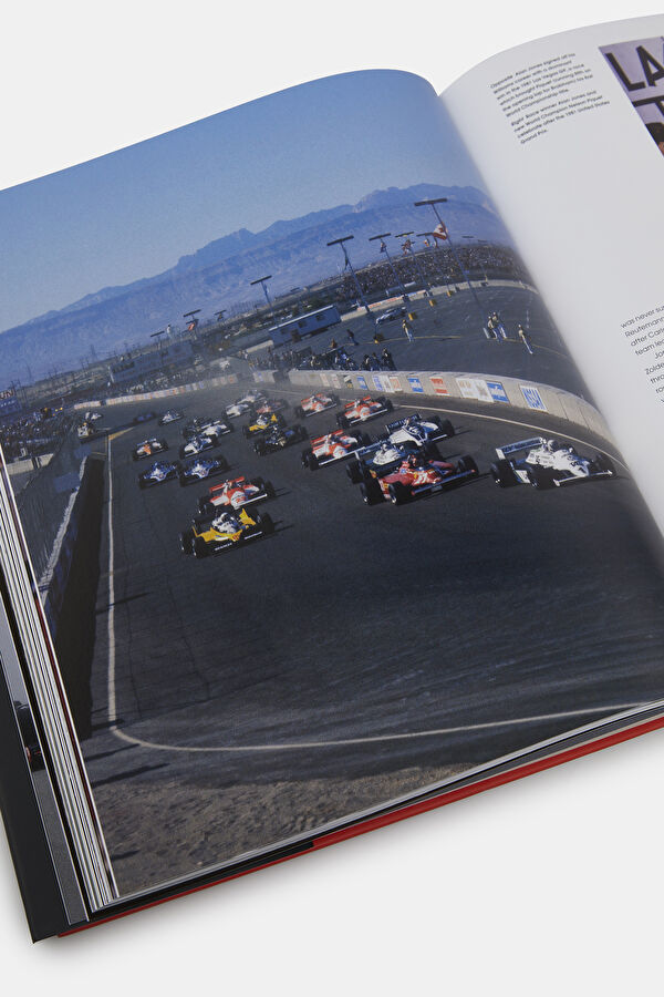 Formula One: The Rivals 8