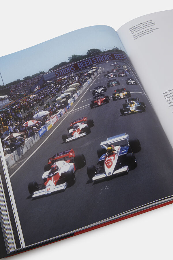 Formula One: The Rivals 12