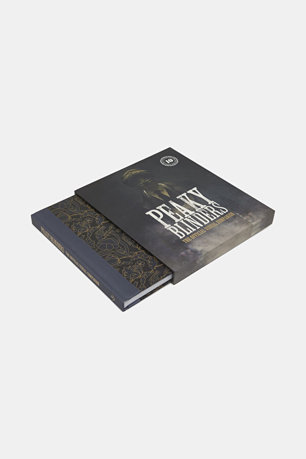 Peaky Blinders: The Official Visual Comp 4