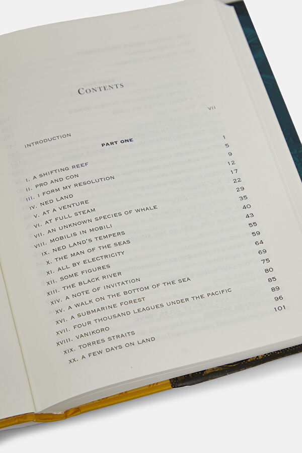 Twenty Thousand Leagues Under the Sea 4