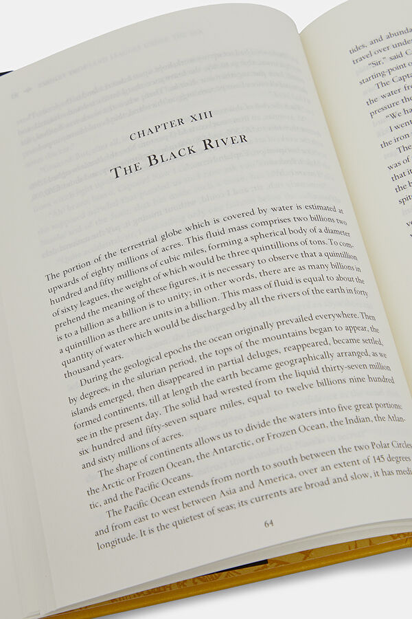 Twenty Thousand Leagues Under the Sea 8